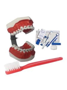 Macromodelo-Caja-de-Dientes-con-Brackets-y-Cepillo-para-aseo-dental.jpg