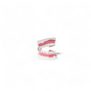 caja de dientes